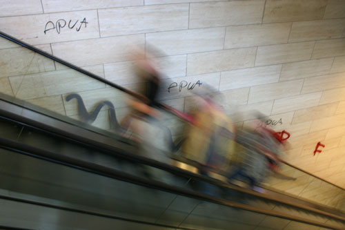 Aamulla. Kuva Anonymous.