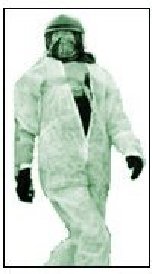 Valkohaalari poseeraa